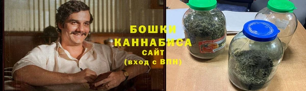 PSILOCYBIN Бугульма