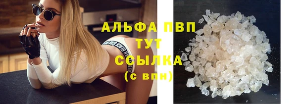 PSILOCYBIN Бугульма