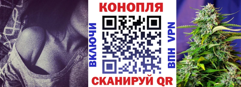 Каннабис конопля  Купить закладки  Котельнич 